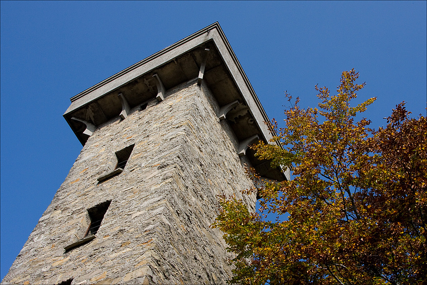 Lainzer Tiergarten im Herbst - 1