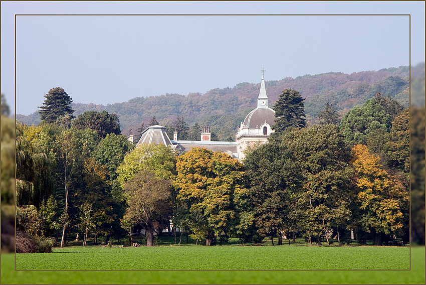 Lainzer Tiergarten im Herbst - 4