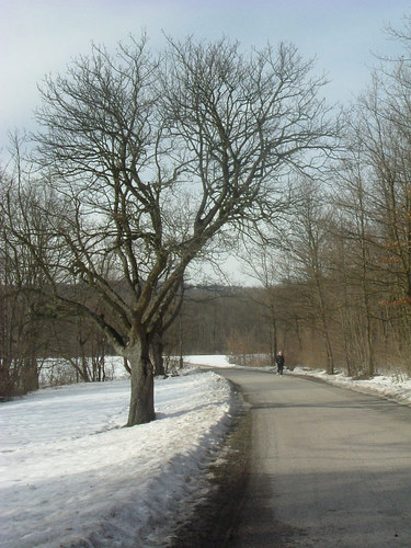 Lainzertiergarten im März 2005 im Wien