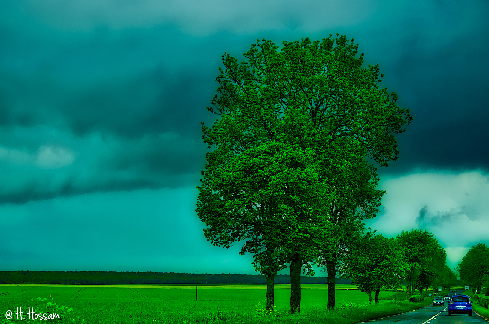 Laissez parler la Nature 