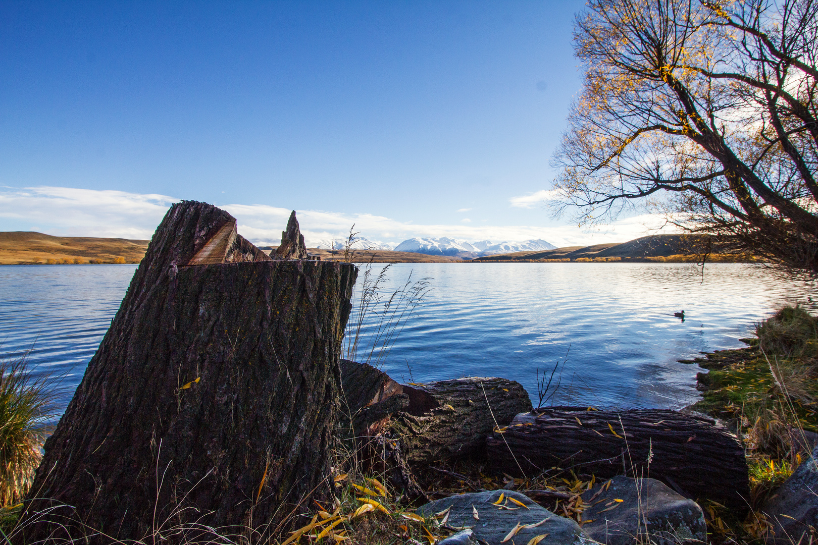 Lake Alexandrina 2