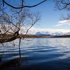 Lake Alexandrina 3