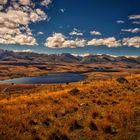 Lake Alexandrina (Neuseeland)