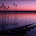 Lake Ammer [bavaria]