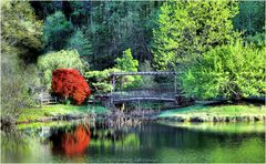 Lake and Footbridge, Golden Hour, Spring