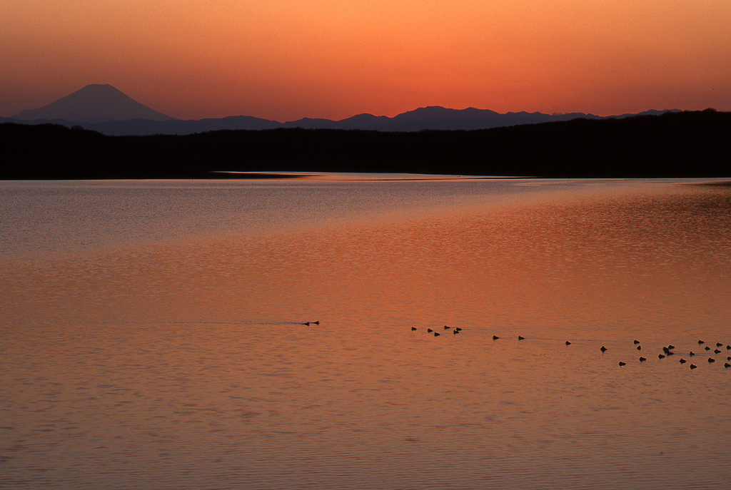 Lake and Mt. Fuji