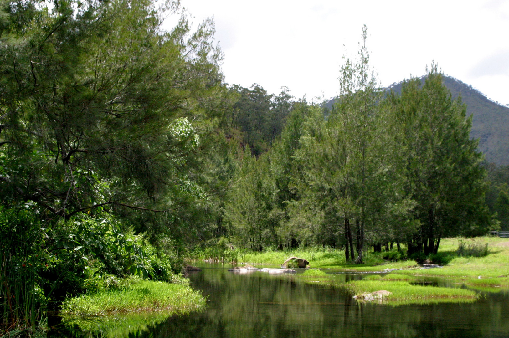 lake  and trees