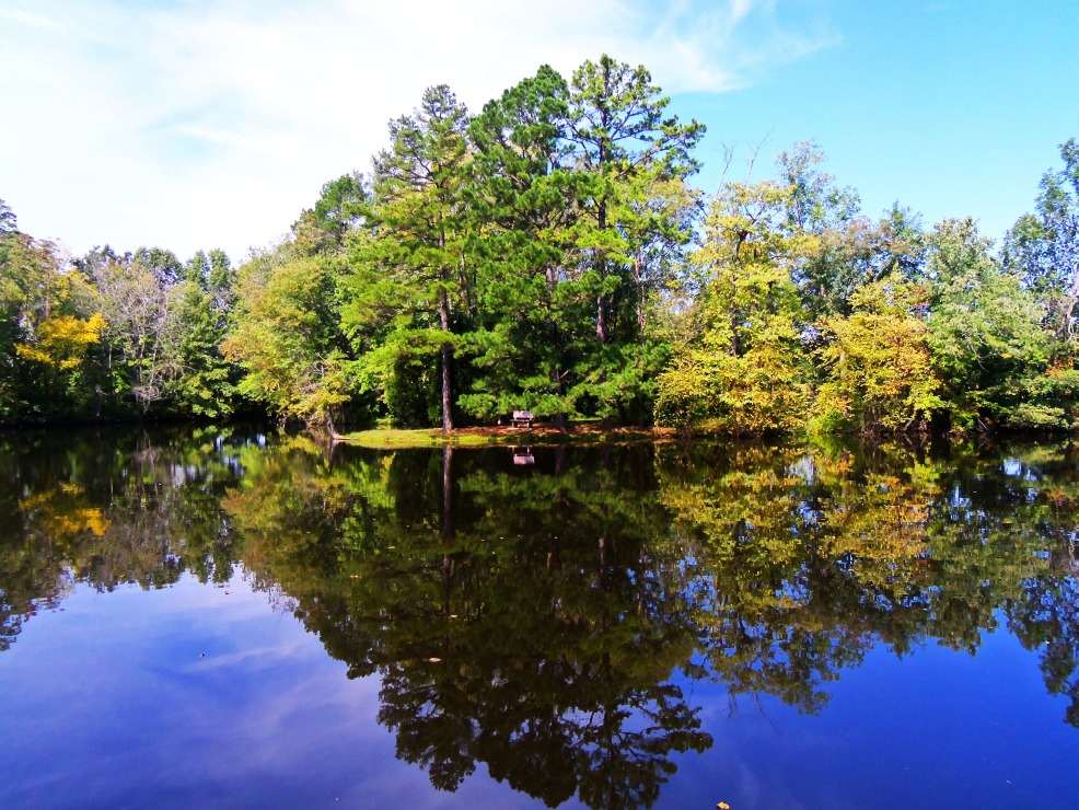 lake and trees