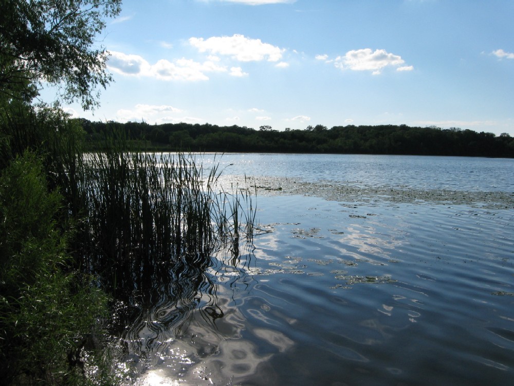 Lake Anne, Chanhassen, Minnesota, USA