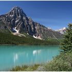 Lake at Icefield Parkway