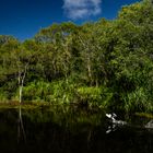 Lake at Territory Wildlife Park