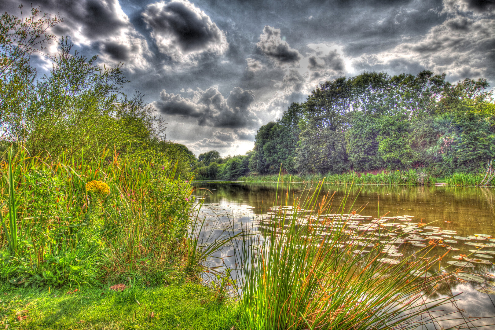 lake at thorne