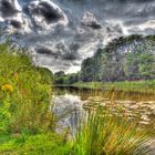 lake at thorne