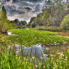 Lake at Thorne