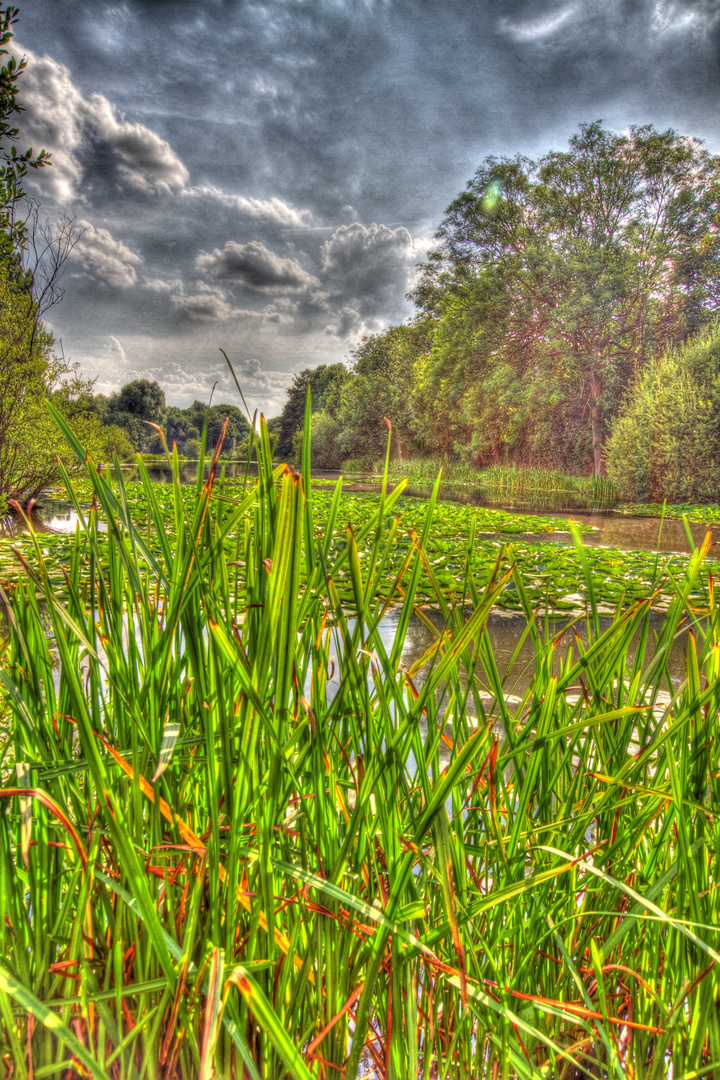 lake ay thorne