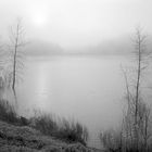 Lake B. Morning