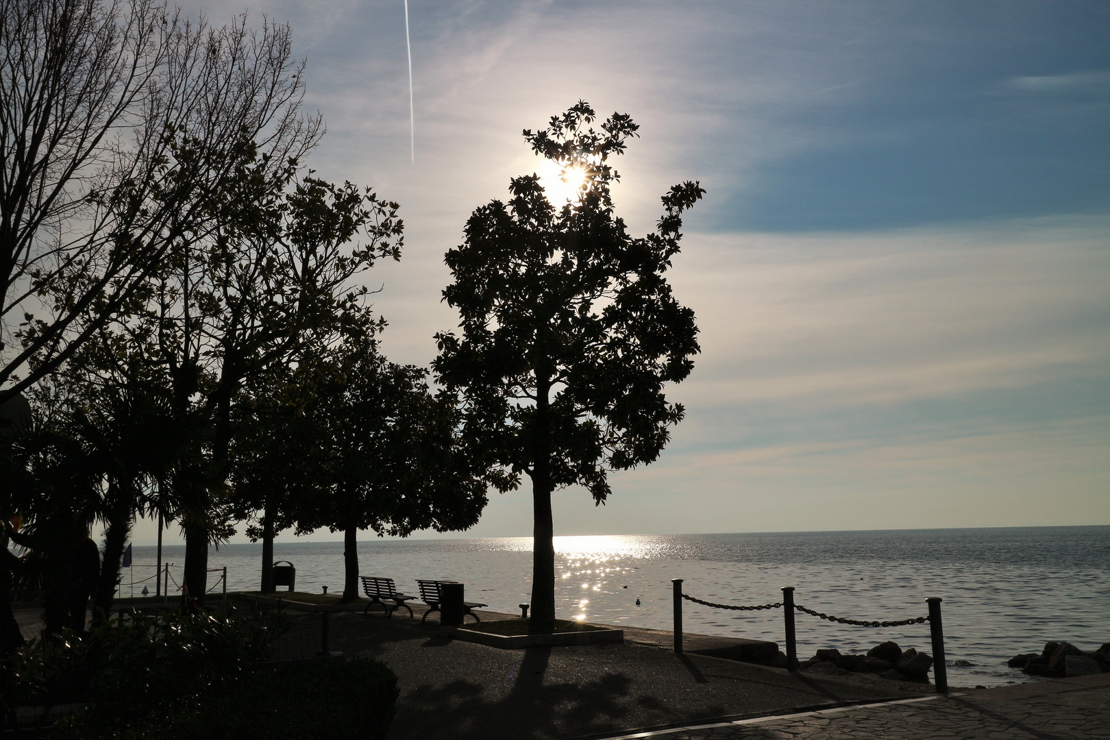 Lake Backlight