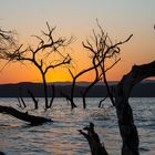 ***  Lake Baringo - SUNRISE ***