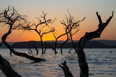 ***  Lake Baringo - SUNRISE ***