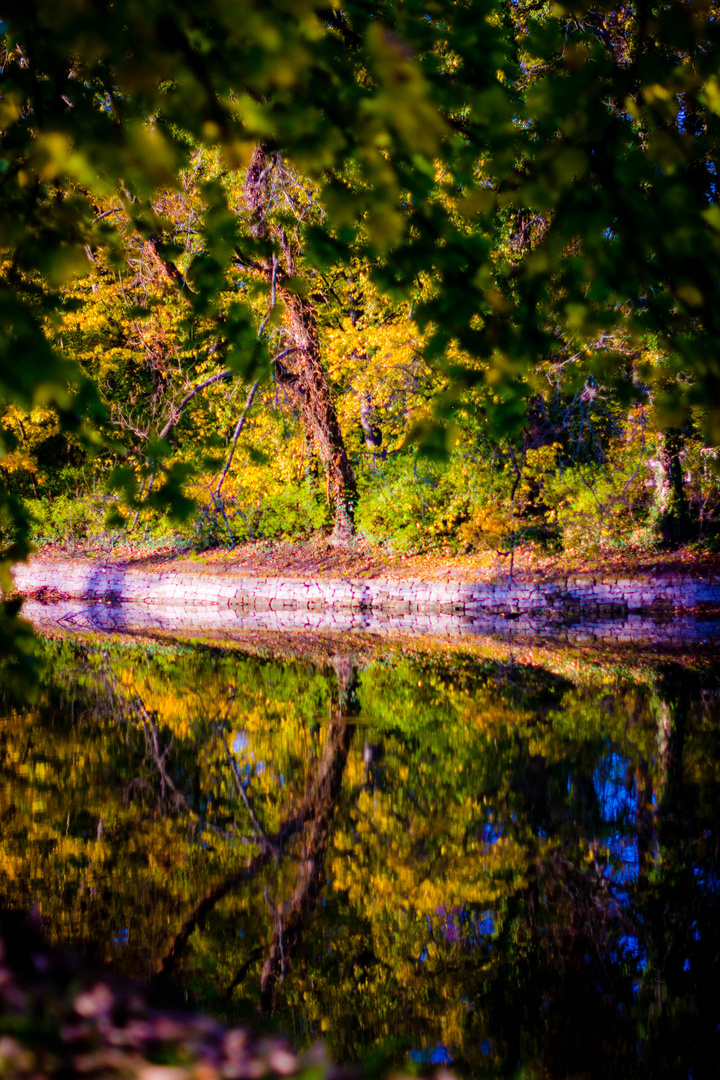 Lake Beauty