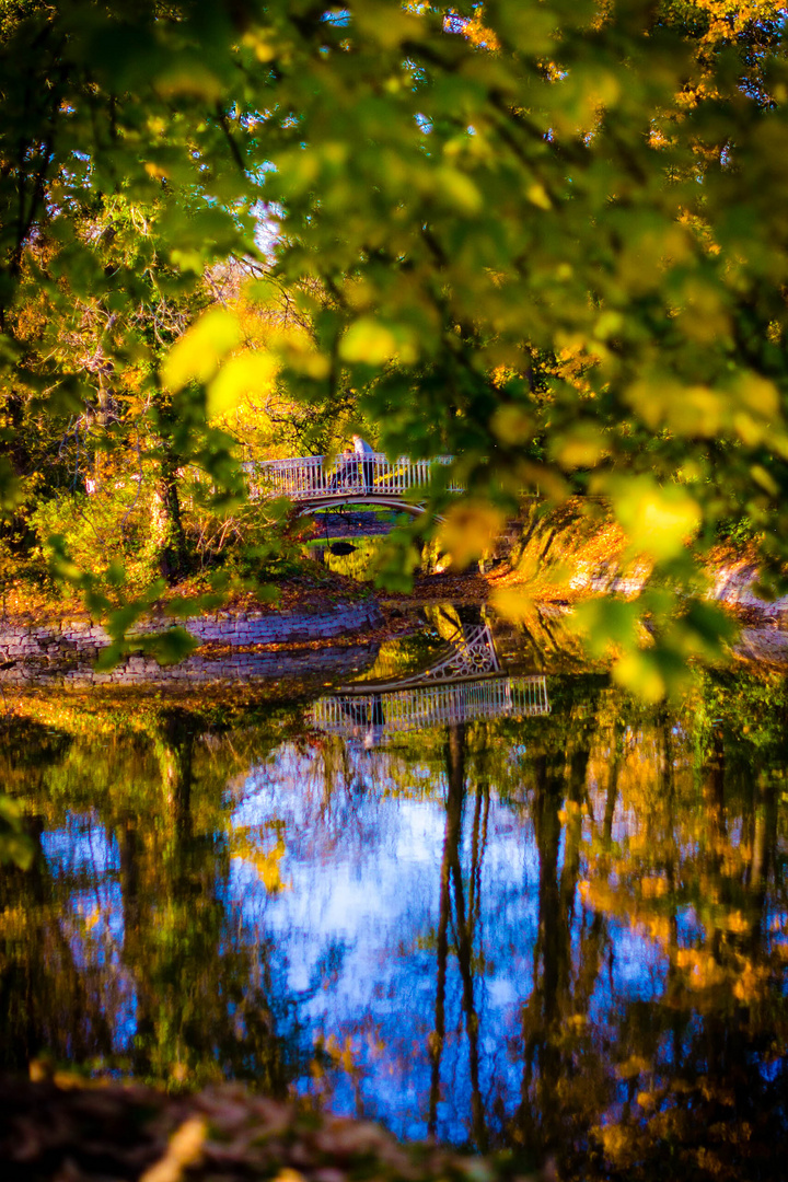 Lake Beauty