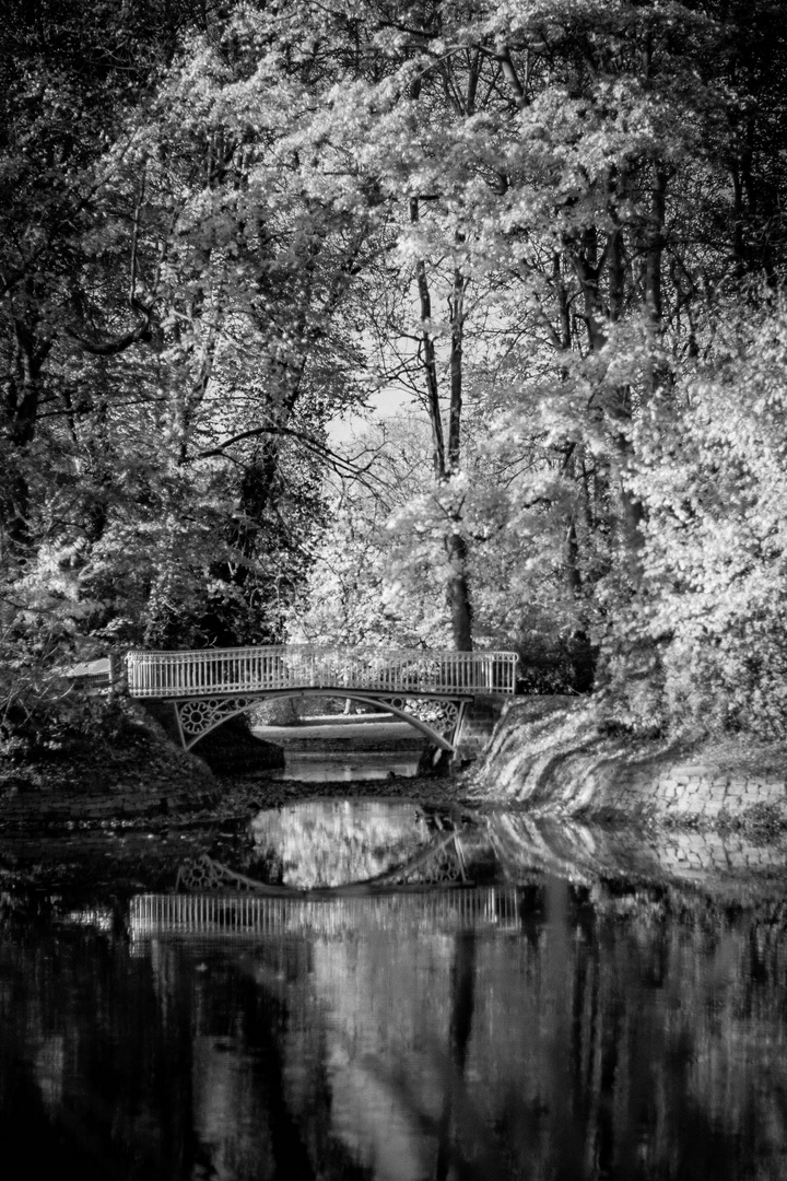 Lake Beauty Mono