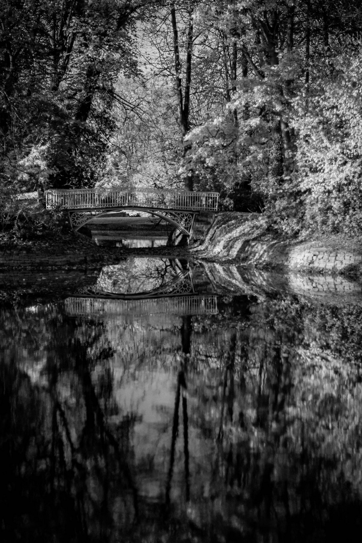 Lake Beauty Mono