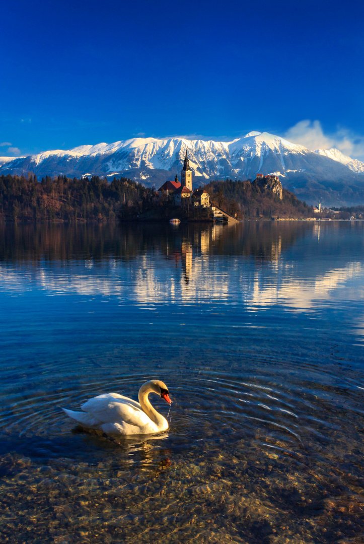 Lake Bled