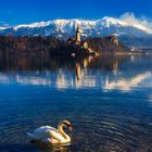 Lake Bled