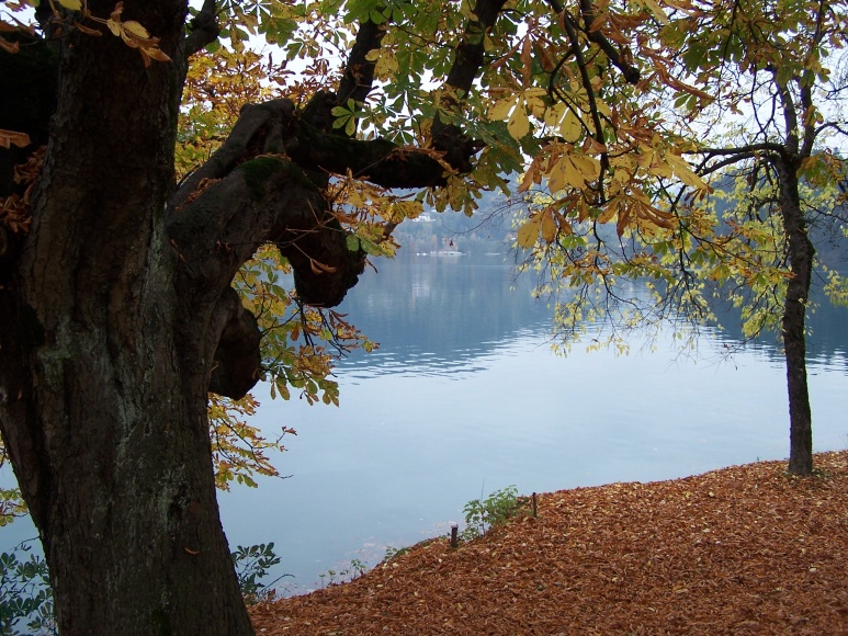 Lake Bled, Slowenia