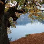 Lake Bled, Slowenia