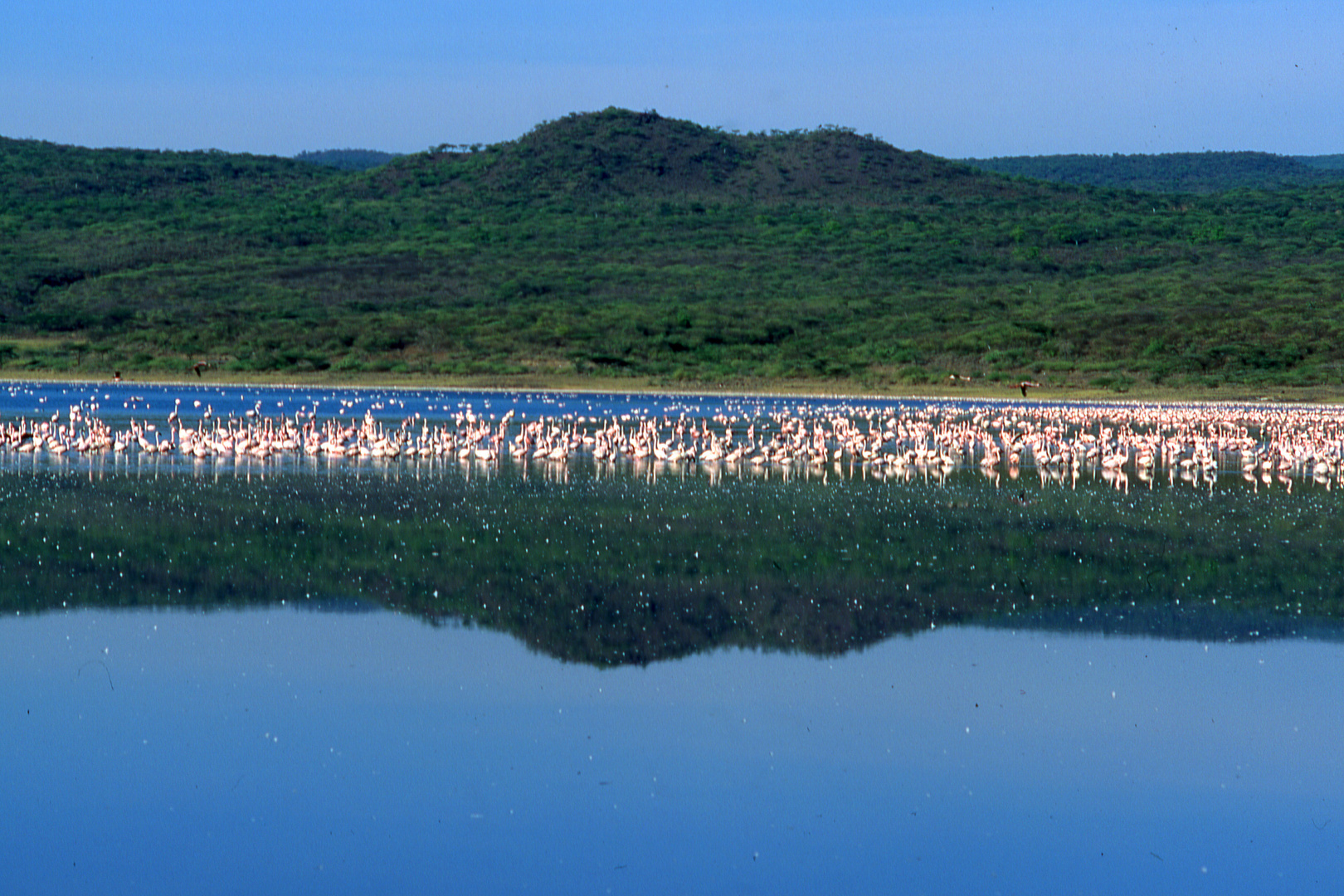 Lake Bogoria 1991