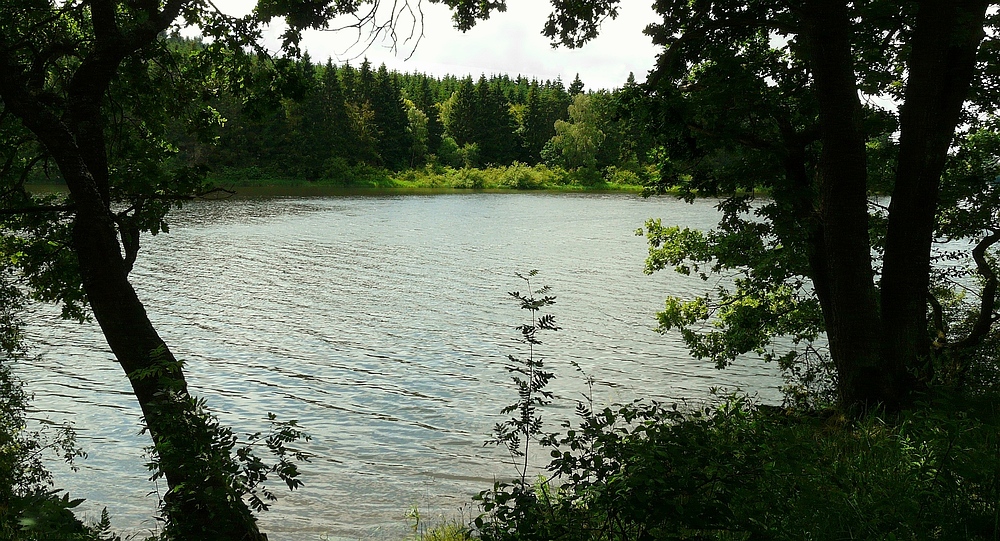 Lake Bütgenbach