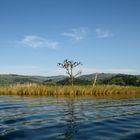 Lake Buyonyi