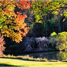 Lake Caroline, Early Autumn