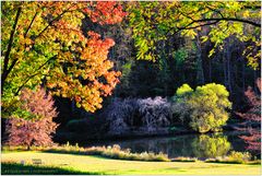 Lake Caroline, Early Autumn