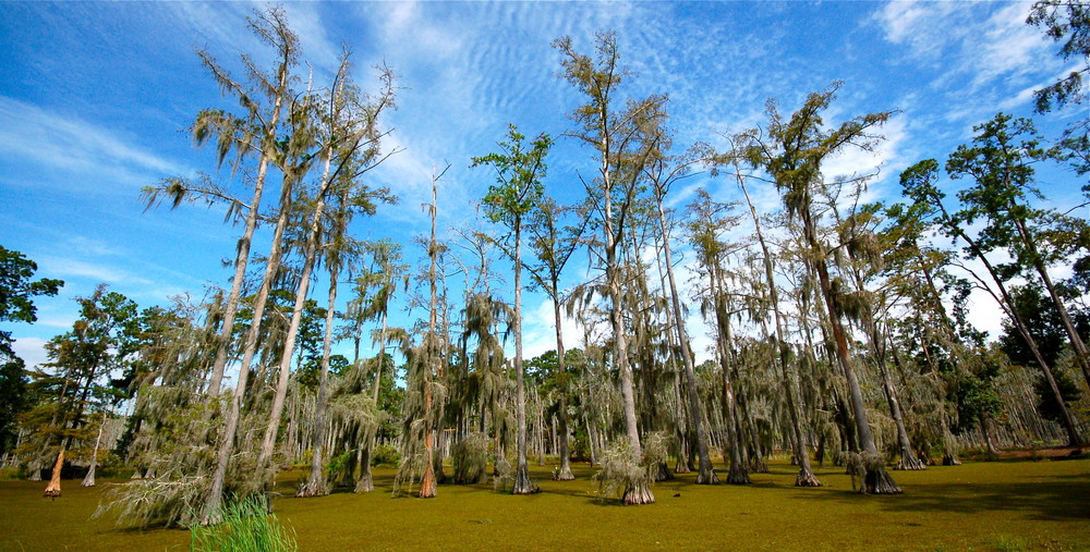 Lake Charles