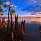 Lake Charlotte 45 mi.East of Houston