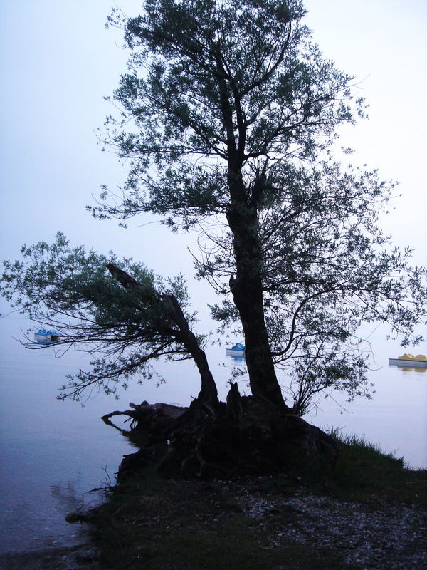 Lake Chiemsee (Germany) fog after sunset