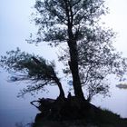 Lake Chiemsee (Germany) fog after sunset