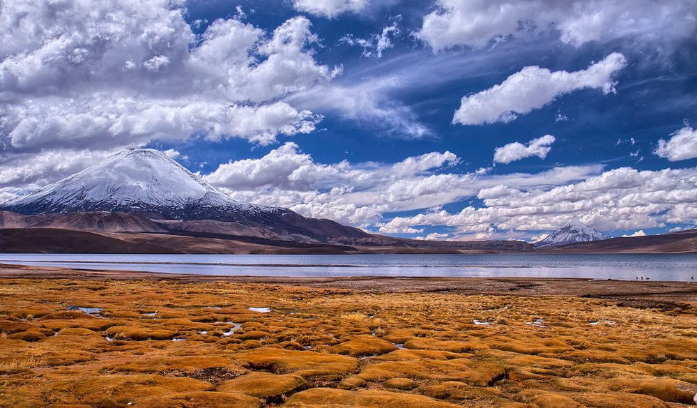 lake chungara