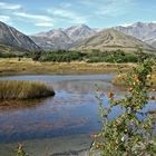 LAKE COLERIDGE