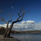 Lake Coniston