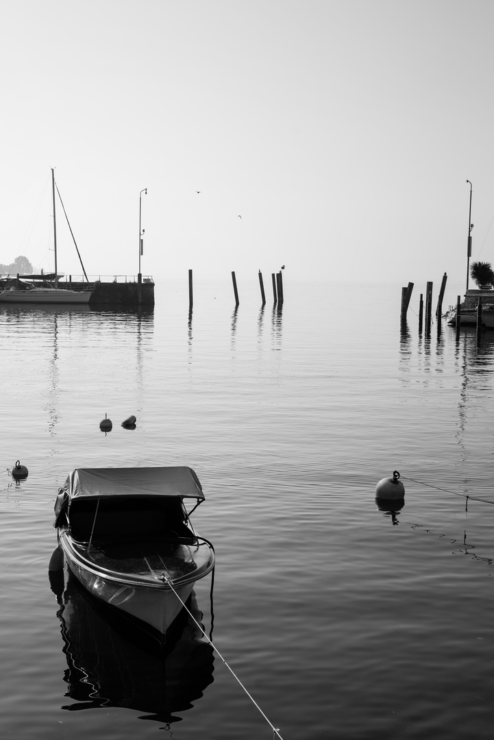 Lake Constance Black-White