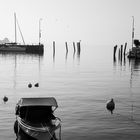 Lake Constance Black-White