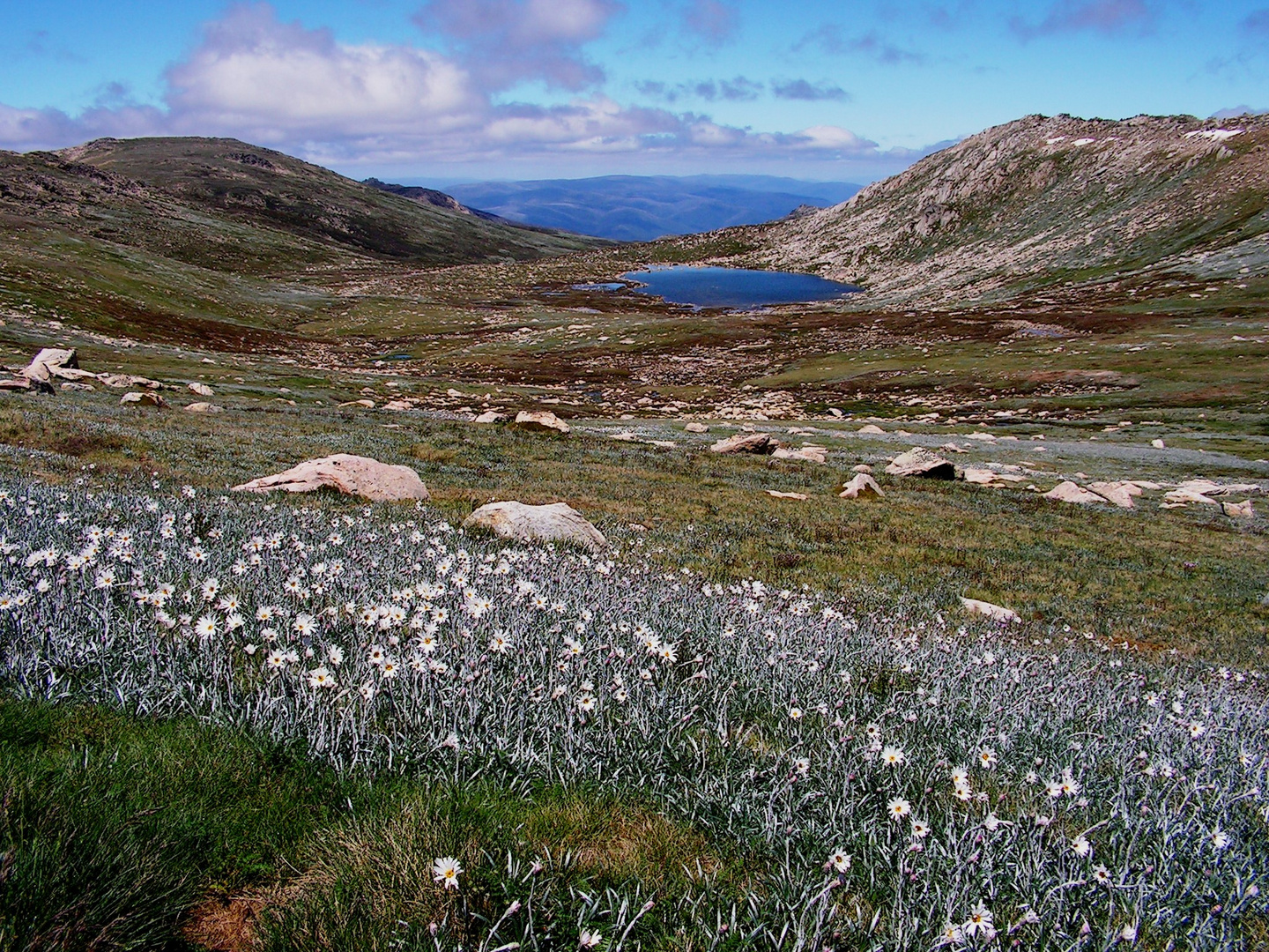 Lake Cootapatamba