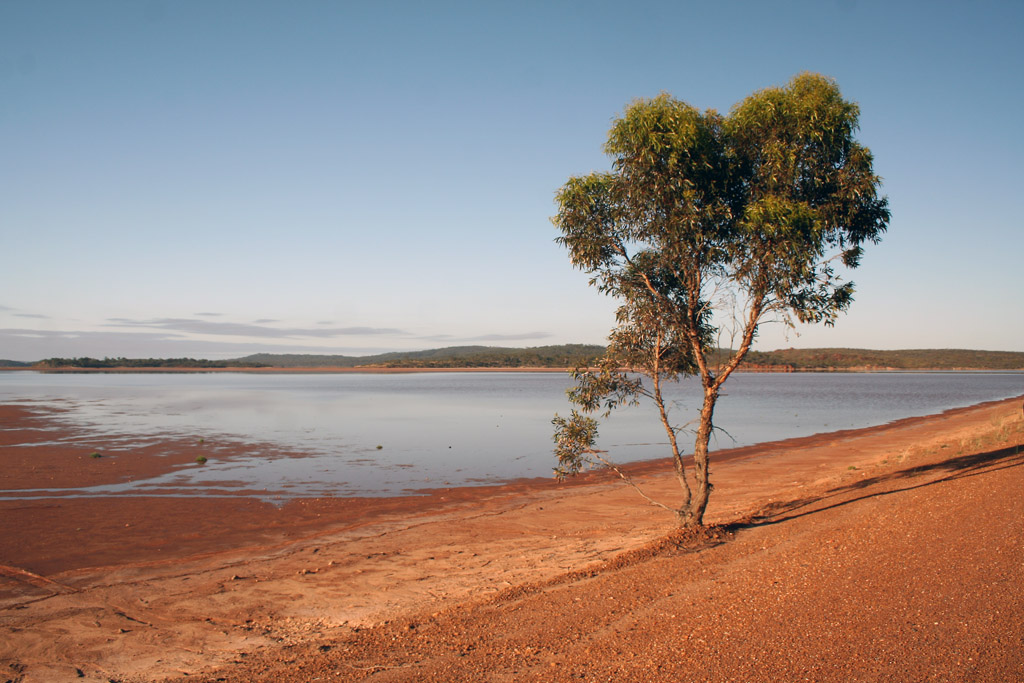 Lake Cowan after rain