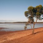 Lake Cowan after rain