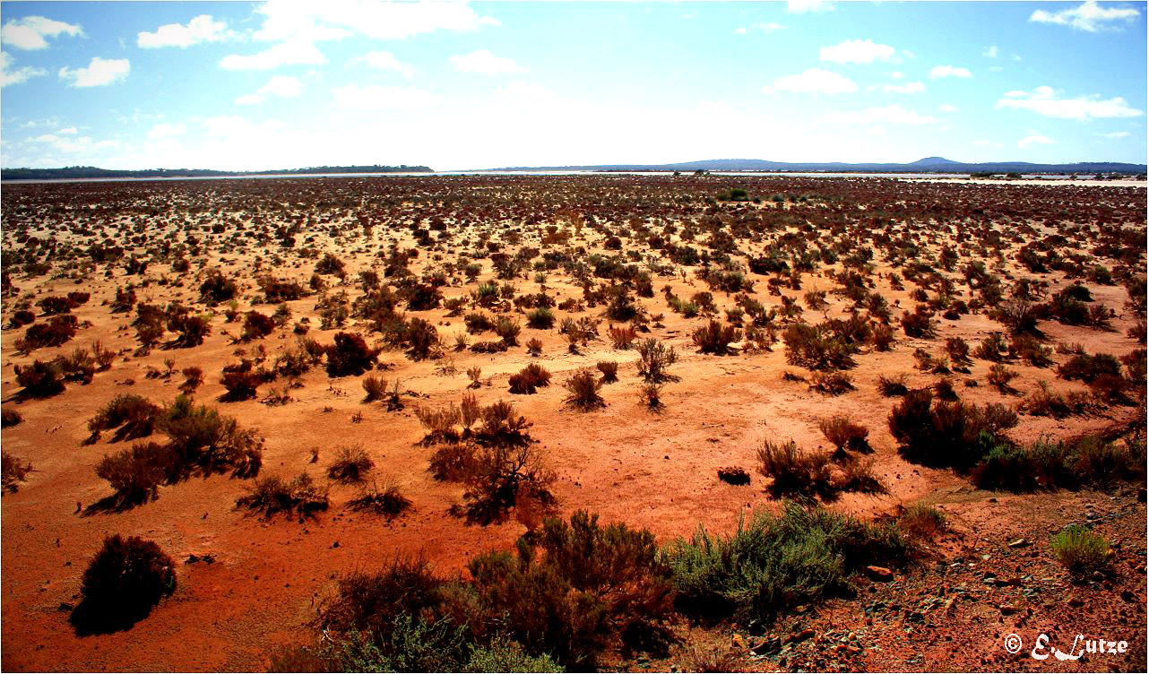 Lake Cowan ** near Norseman