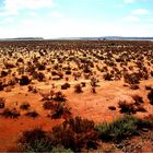 Lake Cowan ** near Norseman